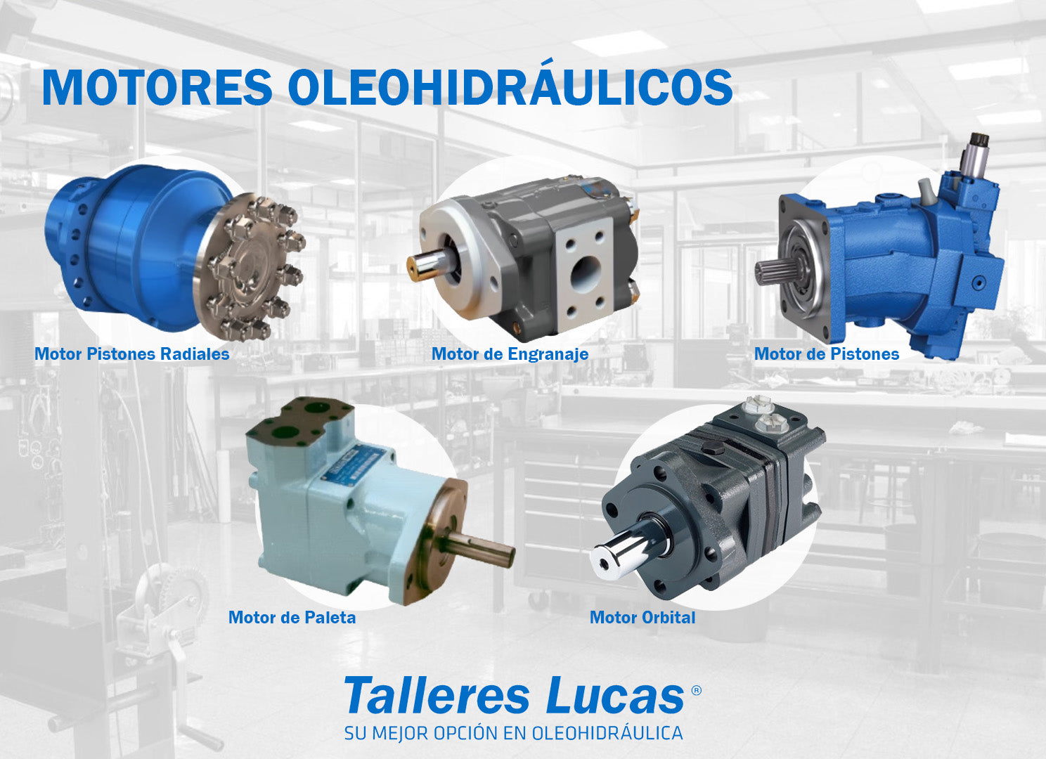 Motores Oleohidráulicos